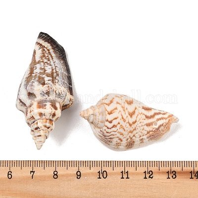 Perle di conchiglia naturali&nbsp;BSHE-O007-57-1
