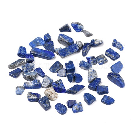 Natural Lapis Lazuli Beads G-I304-02-1