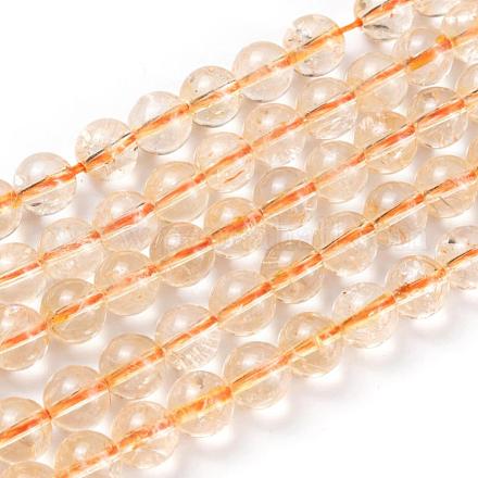 Chapelets de perles de citrine naturelle G-S150-09-8mm-1