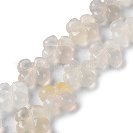 Chapelets de perles en agate blanche naturelle G-M418-D03-01-1