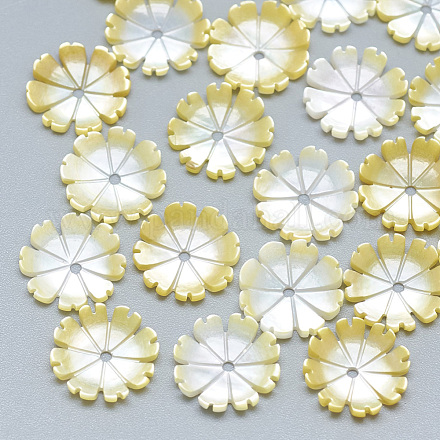 Perles de coquillage jaune SSHEL-S260-071-1