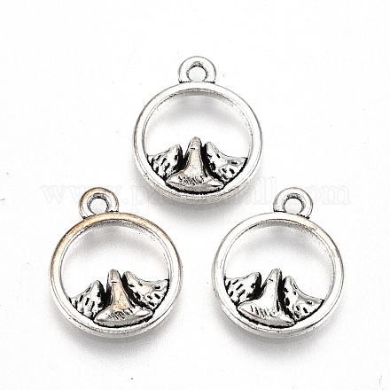 Tibetan Style Alloy Charms TIBE-S323-063AS-RS-1