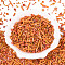 Electroplate Glass Seed Beads, for Jewelry Making, Mixed Shapes, Coral, 1.2~15x1.5~4.5mm, Hole: 0.8~1.8mm, about 8000pcs/Pound