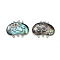 Brass Box Clasps, with Paua Shell, 3-Strand, 6-Hole, Platinum, Colorful, 29.5x39x6.5~8mm, Hole: 2/3mm