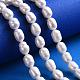 Grade B Natural Cultured Freshwater Pearl Beads Strands SPRB007Y-51-5