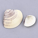 Clam shell perles SSHEL-S258-50-2