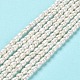 Natural Cultured Freshwater Pearl Beads Strands PEAR-E016-146-2
