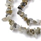 Natural Labradorite Beads Strands G-G0003-B32-4