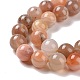 Natural Botswana Agate Beads Strands G-G925-01B-4