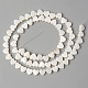 Eau douce naturelle de coquillage perles brins SHEL-N026-71-2