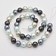 Round Shell Pearl Bead Strands BSHE-M009-10mm-04-2