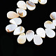 Eau douce naturelle de coquillage perles brins SHEL-Q024-008-3