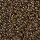 Perles rocailles miyuki rondes X-SEED-G007-RR0379-3