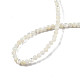 Brins de perles de coquillage blanc naturel SSHEL-N003-144A-01-4