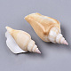 Natural Spiral Shell Beads SSHEL-S258-81-2
