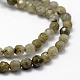 Faceted Natural Labradorite Beads Strands G-F364-17-4mm-3