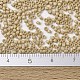 MIYUKI Delica Beads X-SEED-J020-DB2364-4