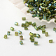 15/0 Grade A Glass Seed Beads SEED-A023-F15-H655-1