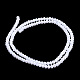 Electroplate Glass Bead Strands GLAA-F001-4x3mm-30L-2