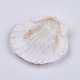 Coquillages de mer belle plage X-DIY-WH0044-01-3