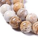 Natural Fossil Coral Beads Strands G-D135-8mm-01-3