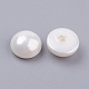 Shell Pearl Half Drilled Beads BSHE-G011-01-8mm-2