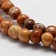 Natural Picture Jasper Beads Strands G-P177-02-3
