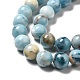 Natural Gemstone Beads Strands G-F730-02B-4