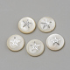 Perles de coquillages naturels d'eau douce SHEL-Q011-008P-1