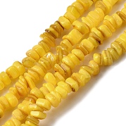 Бусины из натуральных пресноводных ракушек SHEL-B003-01A