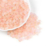 Матовые стеклянные бусины SEED-N008-05A