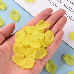 Transparent gefrostetem Acryl-Anhänger&nbsp;MACR-S371-03A-717