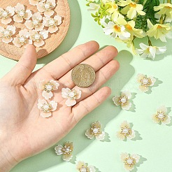 20 Stück Kunststoff-Cabochons&nbsp;FIND-YW0009-81