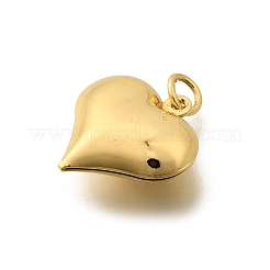 Messing Anhänger & Charms&nbsp;LS-KK-C106-23A-G