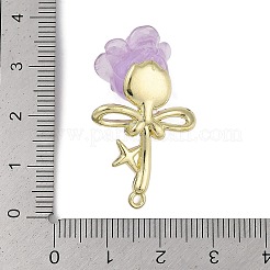 Alliage d'or pendentifs en résine&nbsp;FIND-U017-07G-02