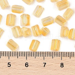 Transparente&nbsp;SEED-L011-10A-07