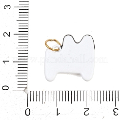 Anhänger aus sprühlackiertem Edelstahl 304&nbsp;STAS-D262-01D