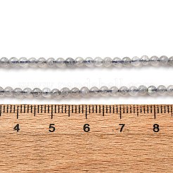 Natur Labradorit Perlen Stränge&nbsp;G-A276-A02-3mm