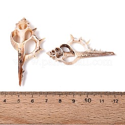 Natürlichen Shell große Anhänger&nbsp;SSHEL-N042-21