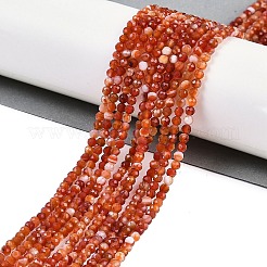 Brins de perles d'agate à bandes naturelles&nbsp;G-P553-G09-02