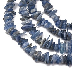 Perles de copeaux de cyanite naturelle / cyanite / disthène&nbsp;G-E271-78