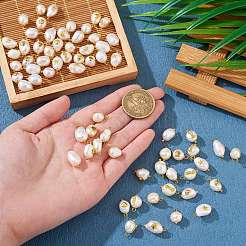 40pcs 4 Stile natürliche Keshi-Perlenanhänger&nbsp;FIND-SZ0006-09