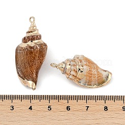 Pendenti shell naturale&nbsp;SHEL-K009-01C