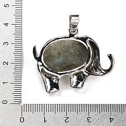 Natur Labradorit Anhänger&nbsp;G-G112-01P-06