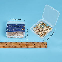 Kit fai da te per orecchini pendenti&nbsp;DIY-SC0016-04