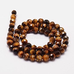 Natürlichen Tigerauge Perlen Stränge&nbsp;G-N0179-01-6mm