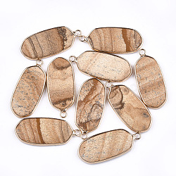 Pendentifs de jaspe avec image naturelle, avec les accessoires en laiton, ovale, or, 36~37x15~16x3~4mm, Trou: 2mm
