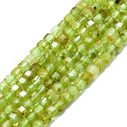 Perline peridoto naturale fili, sfaccettato, cubo, 2x2x2mm, Foro: 0.6 mm, circa 182pcs/filo, 15.16''~15.55'' (38.5~39.5 cm)