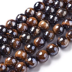 Brins de perles en oeil de tigre naturel galvanisées, facette, ronde, selle marron, 10mm, Trou: 1mm, Environ 38~39 pcs/chapelet, 15.1~15.3 pouce (38.5~39 cm)