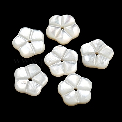 Cuentas de concha natural de blanco, flor, whitesmoke, 10x10.5x2.5mm, agujero: 1 mm
